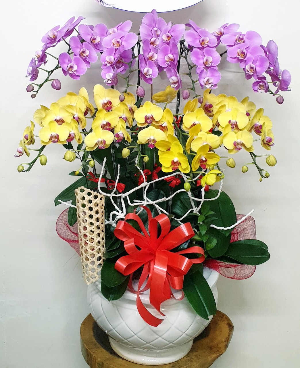 Shop Hoa Lan