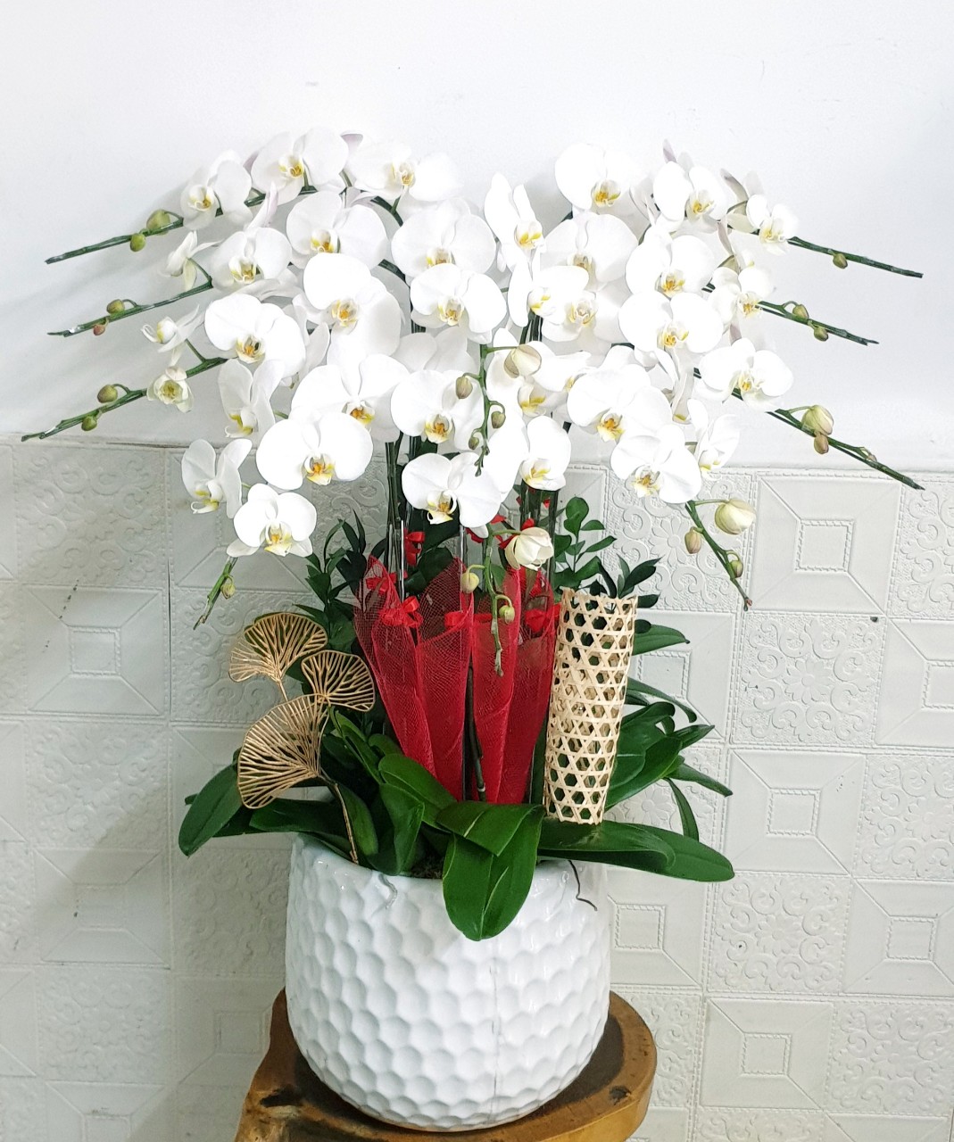 Shop Hoa Lan Nữ Hoàng