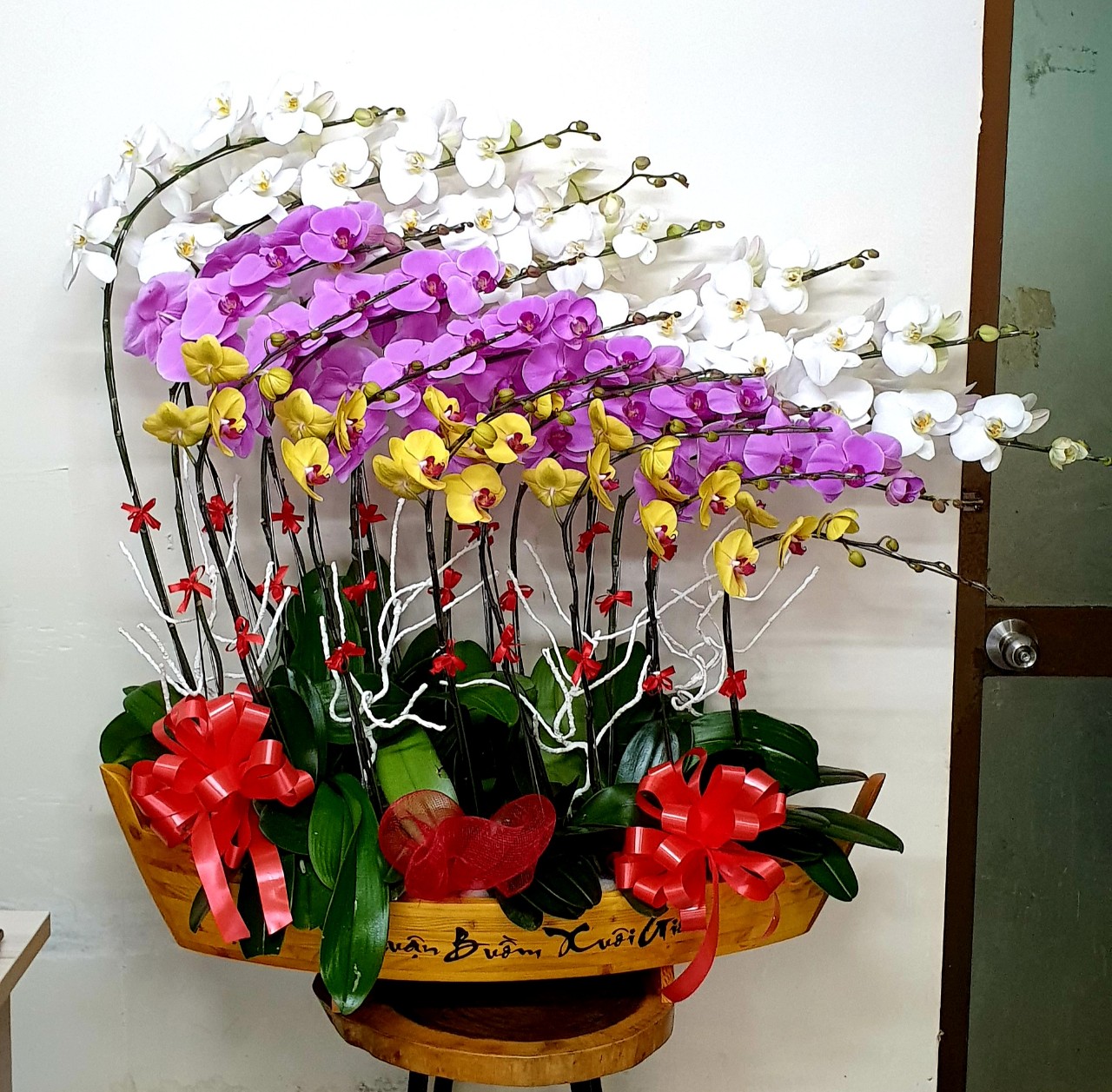 Hoa Lan Hồ Điệp SK029