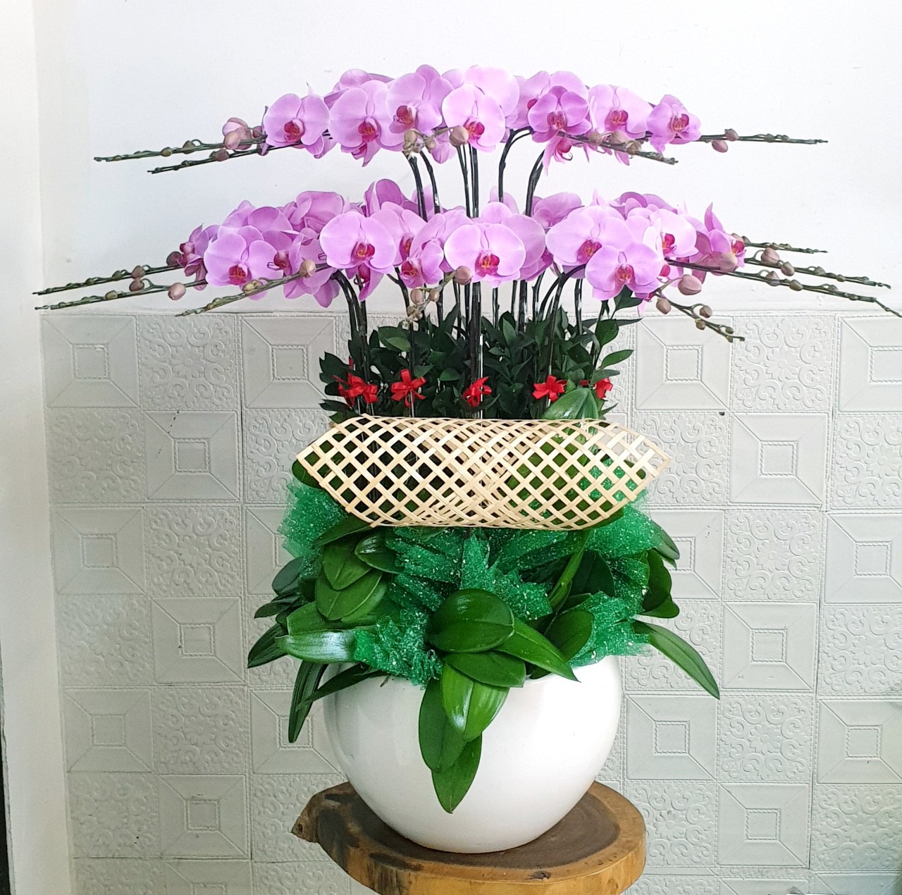 Shop Hoa Lan Nữ Hoàng