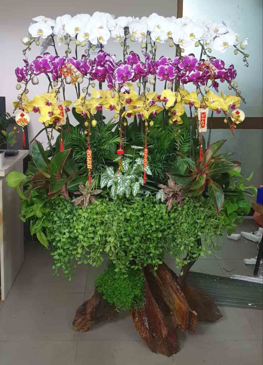 Quà Tặng Ngày Thầy Thuốc Việt Nam