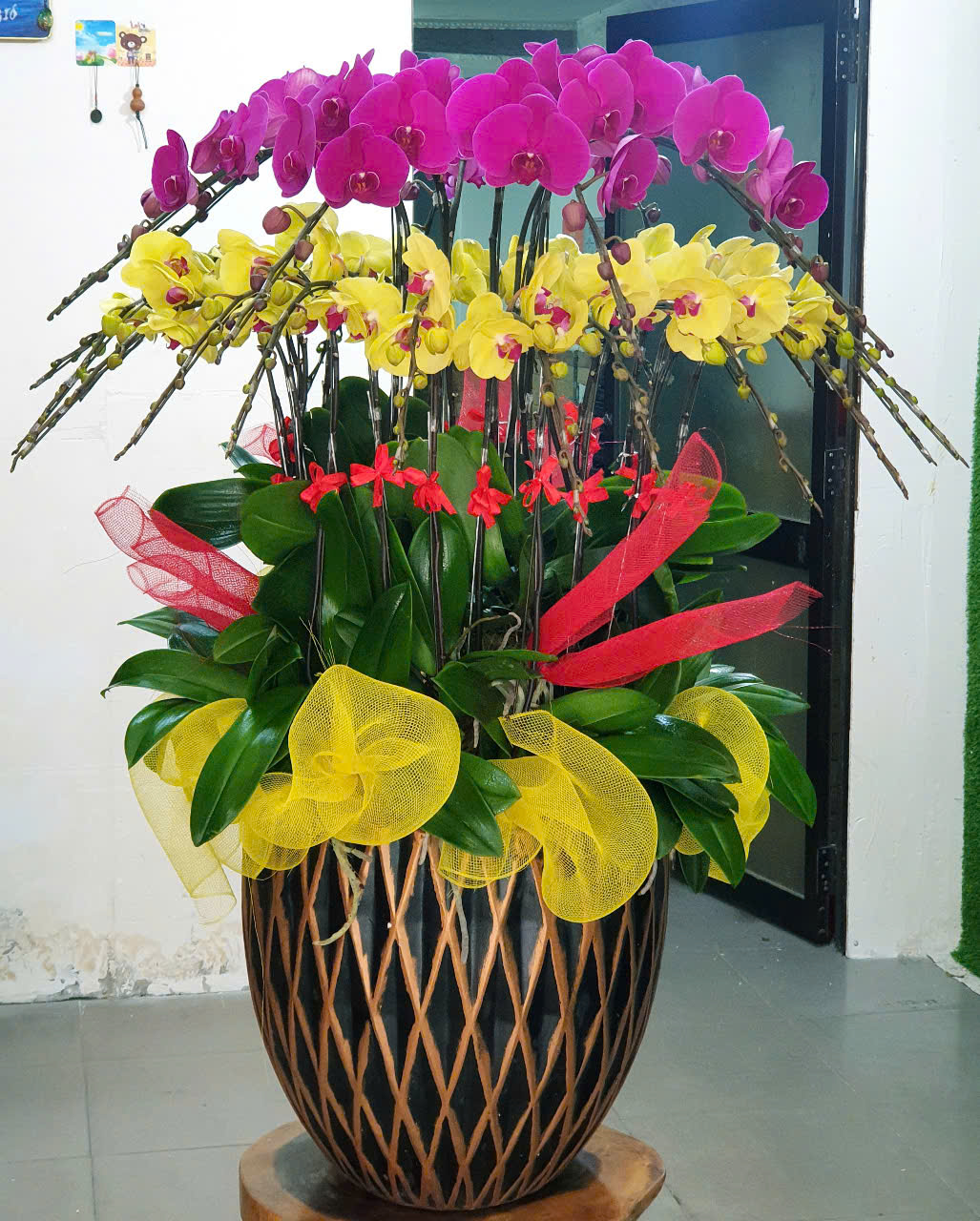 Lan Hồ Điệp VP047