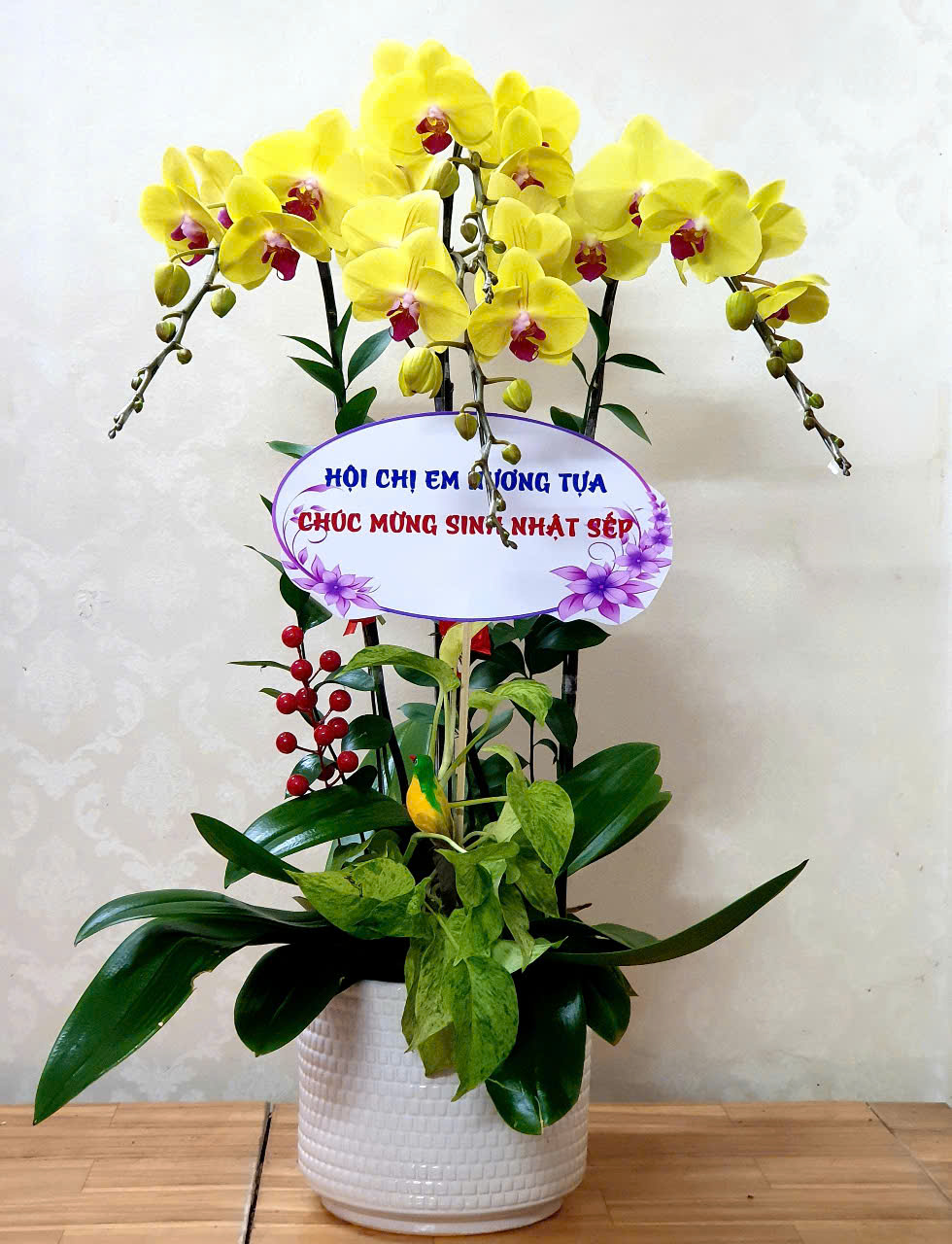 Lan Hồ Điệp VP045