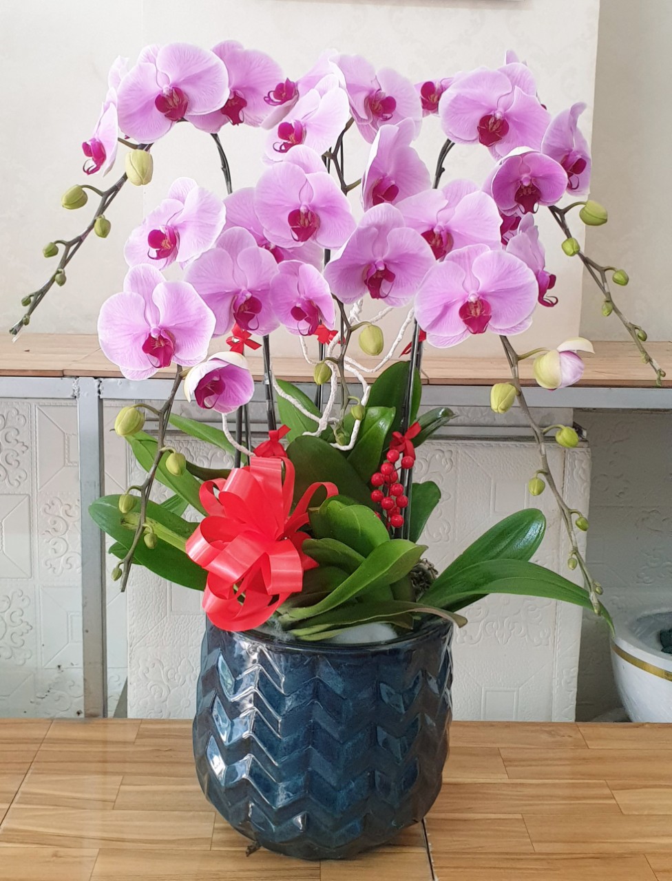 Hoa Lan Hồ Điệp SK008