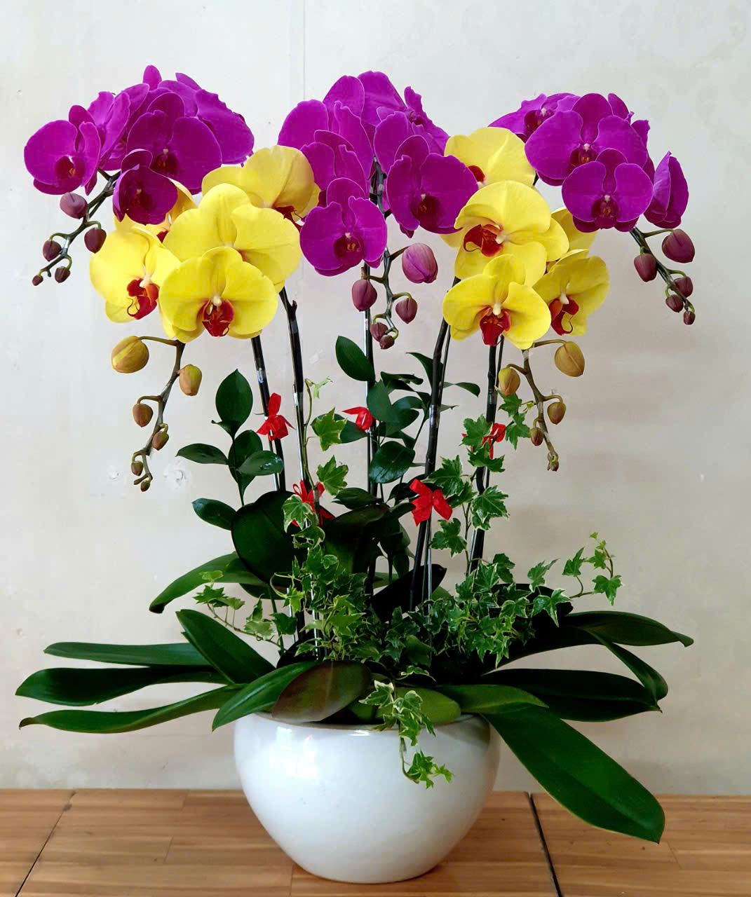 Lan Hồ Điệp VP012