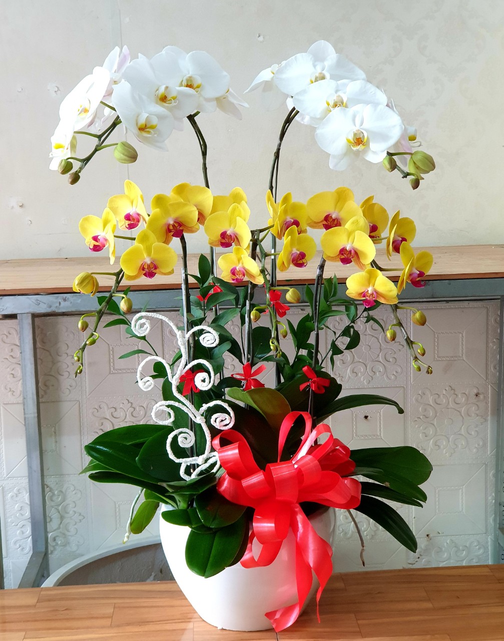 Lan Hồ Điệp VP003