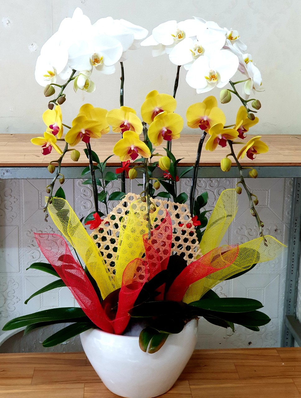 Lan Hồ Điệp VP005