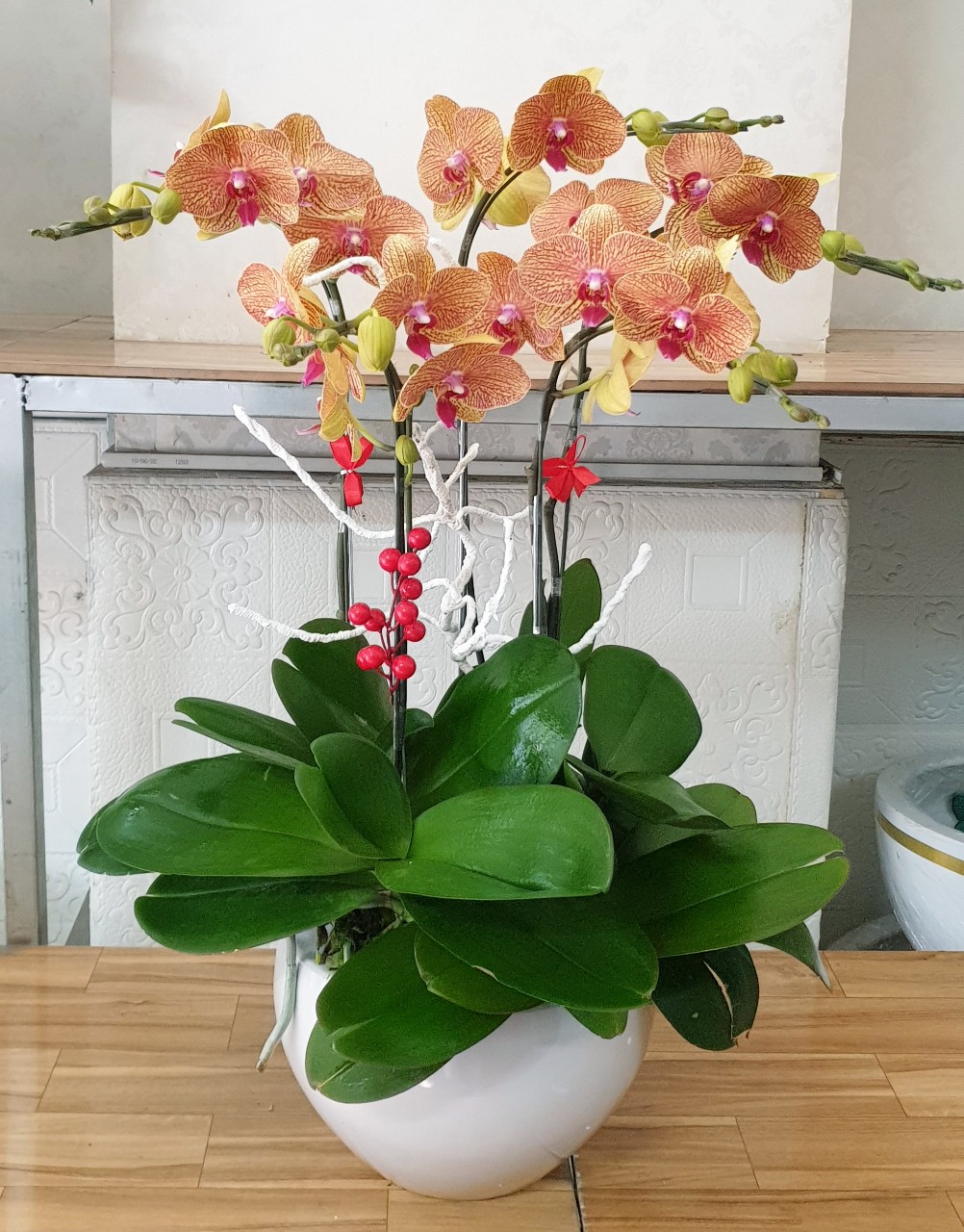 Hoa Lan Hồ Điệp SK005