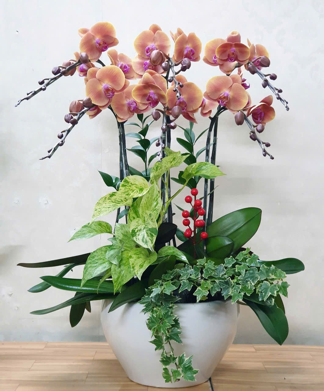 Tâm điểm về hoa lan hồ điệp: Trung tâm hoa lan hồ điệp