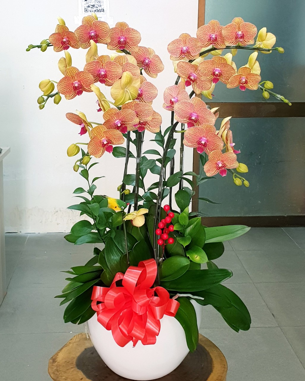 Hoa Lan Hồ Điệp SK011