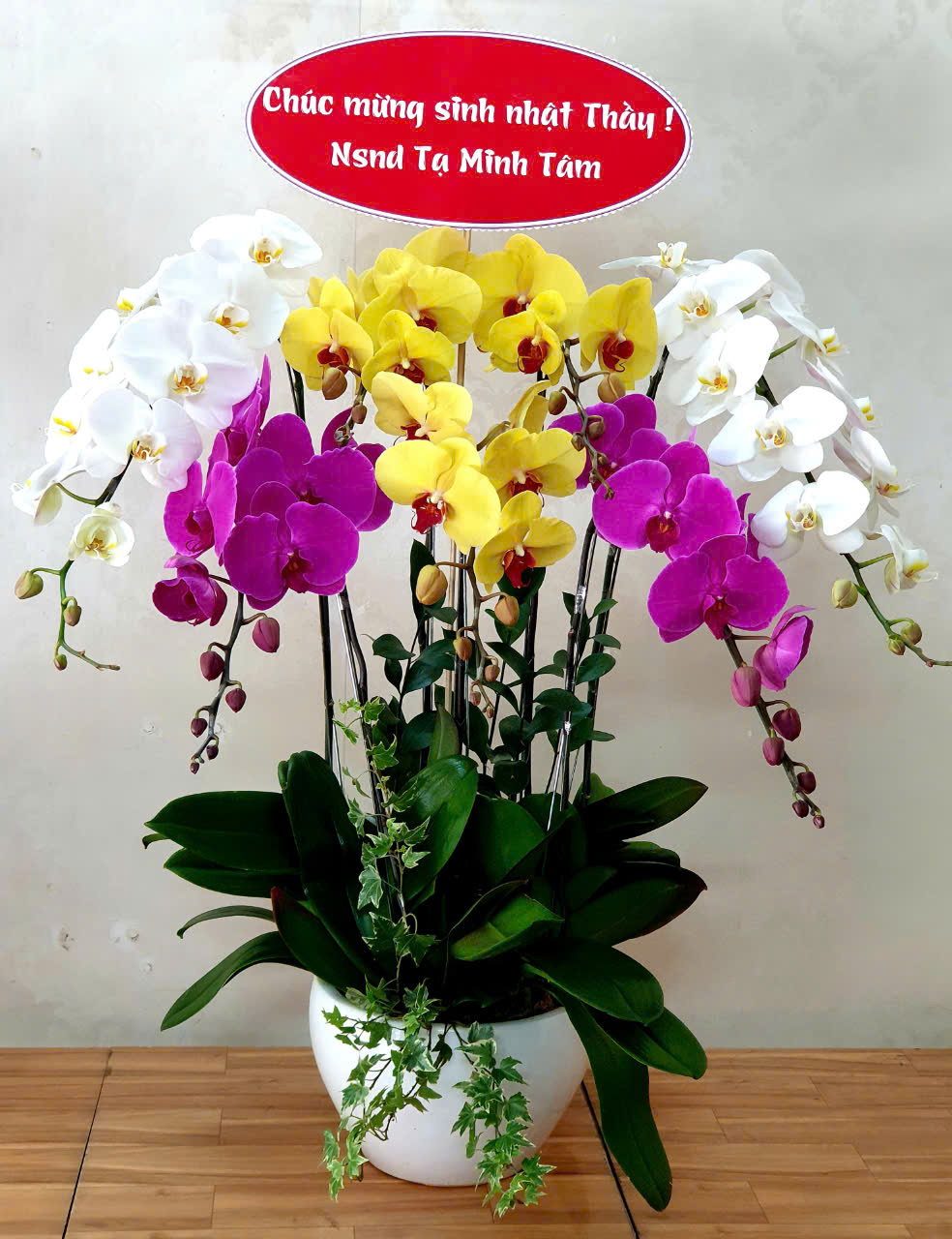 Lan Hồ Điệp VP010