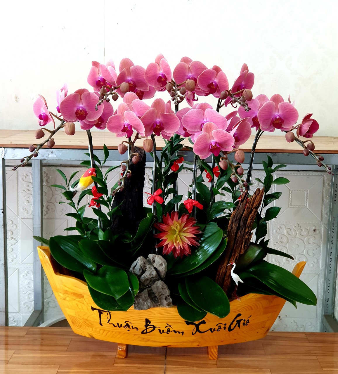 Lan Hồ Điệp VP006