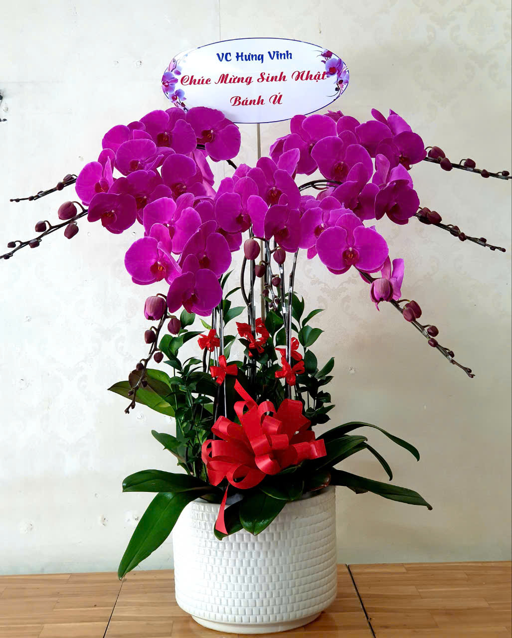 Lan Hồ Điệp VP029