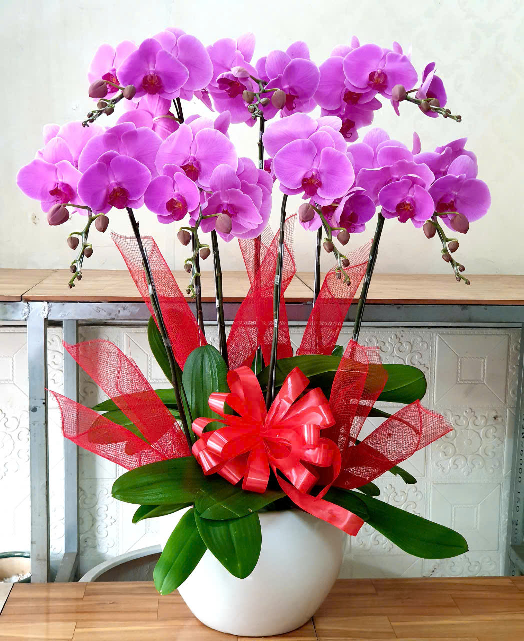 Lan Hồ Điệp Hồ Thị Kỷ: Nơi Hội Tụ Vẻ Đẹp Tinh Hoa