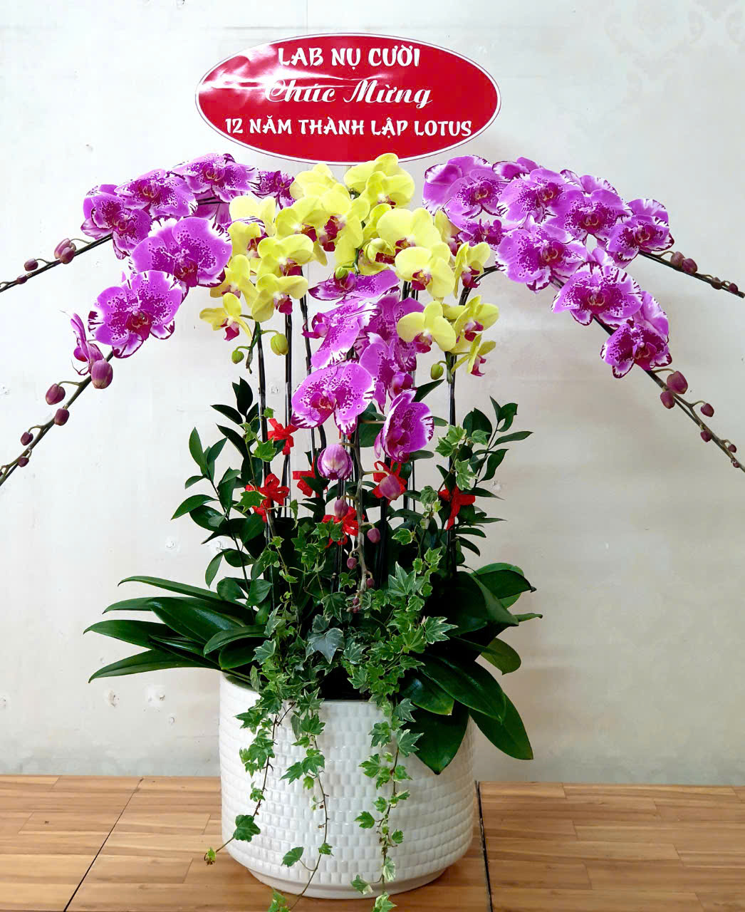 Lan Hồ Điệp VP030