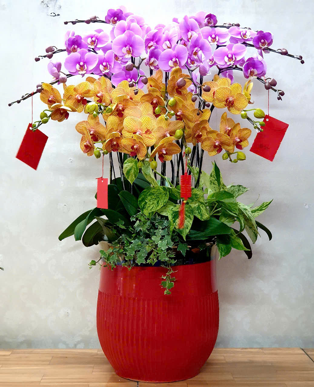 Chậu Hoa Lan Hồ Điệp Đẹp Phong Cách Mới 2025
