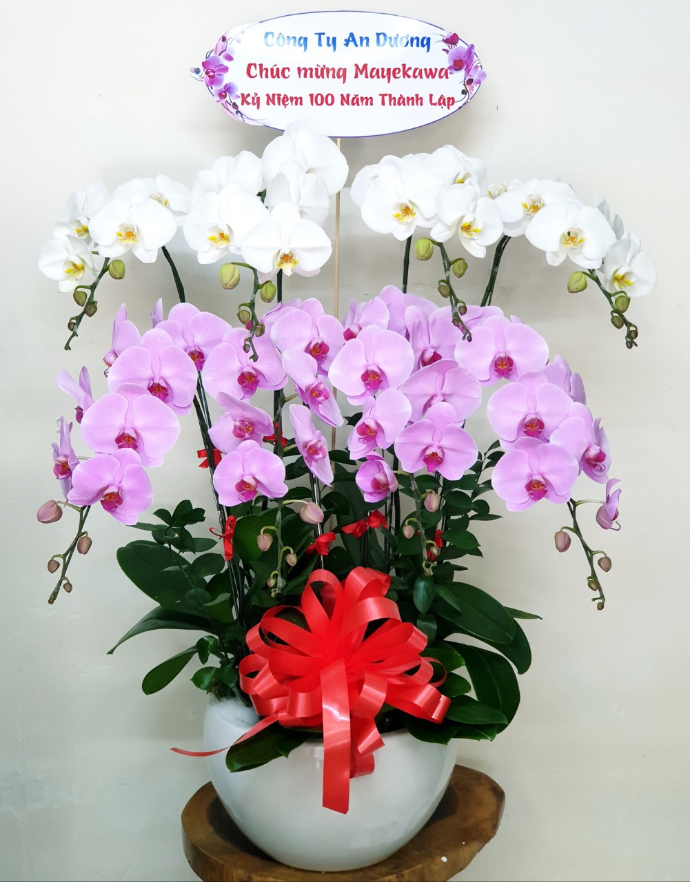 Hoa Lan Hồ Điệp
