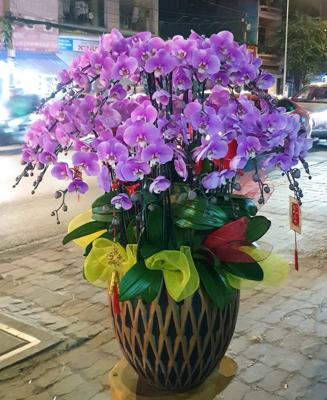 Hoa Lan 30 Cành
