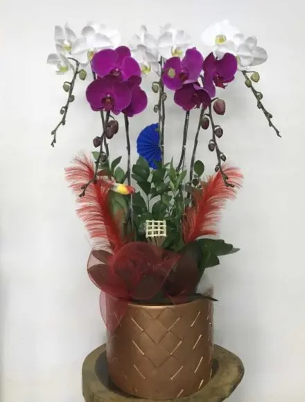 Hoa Lan Hồ Điệp KT013