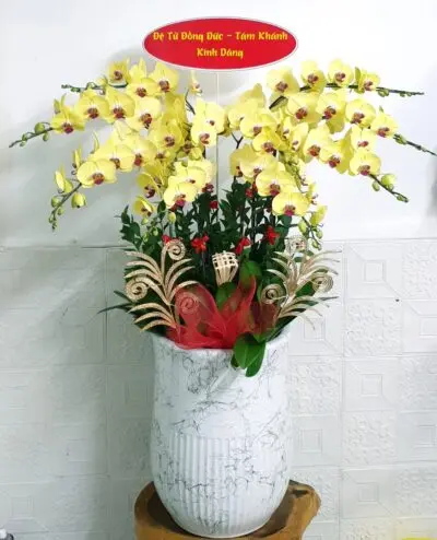 Hoa Lan Hồ Điệp SN038