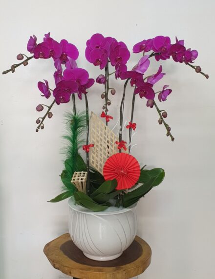 Hoa Lan Hồ ĐIệp TT042
