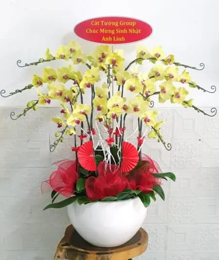 Hoa Lan Hồ Điệp TT065
