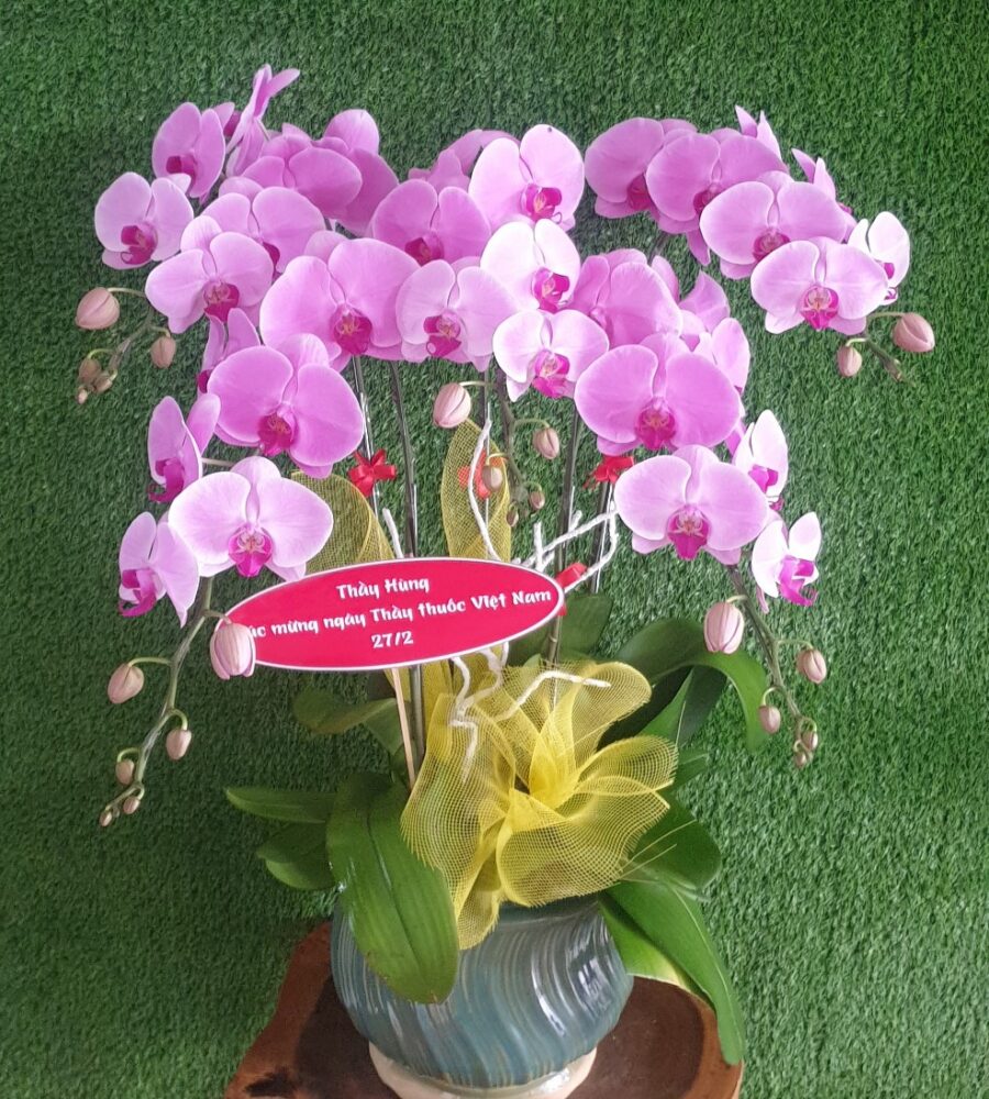 Quà Tặng Ngày Thầy Thuốc Việt Nam / Ngày 27 Tháng 2