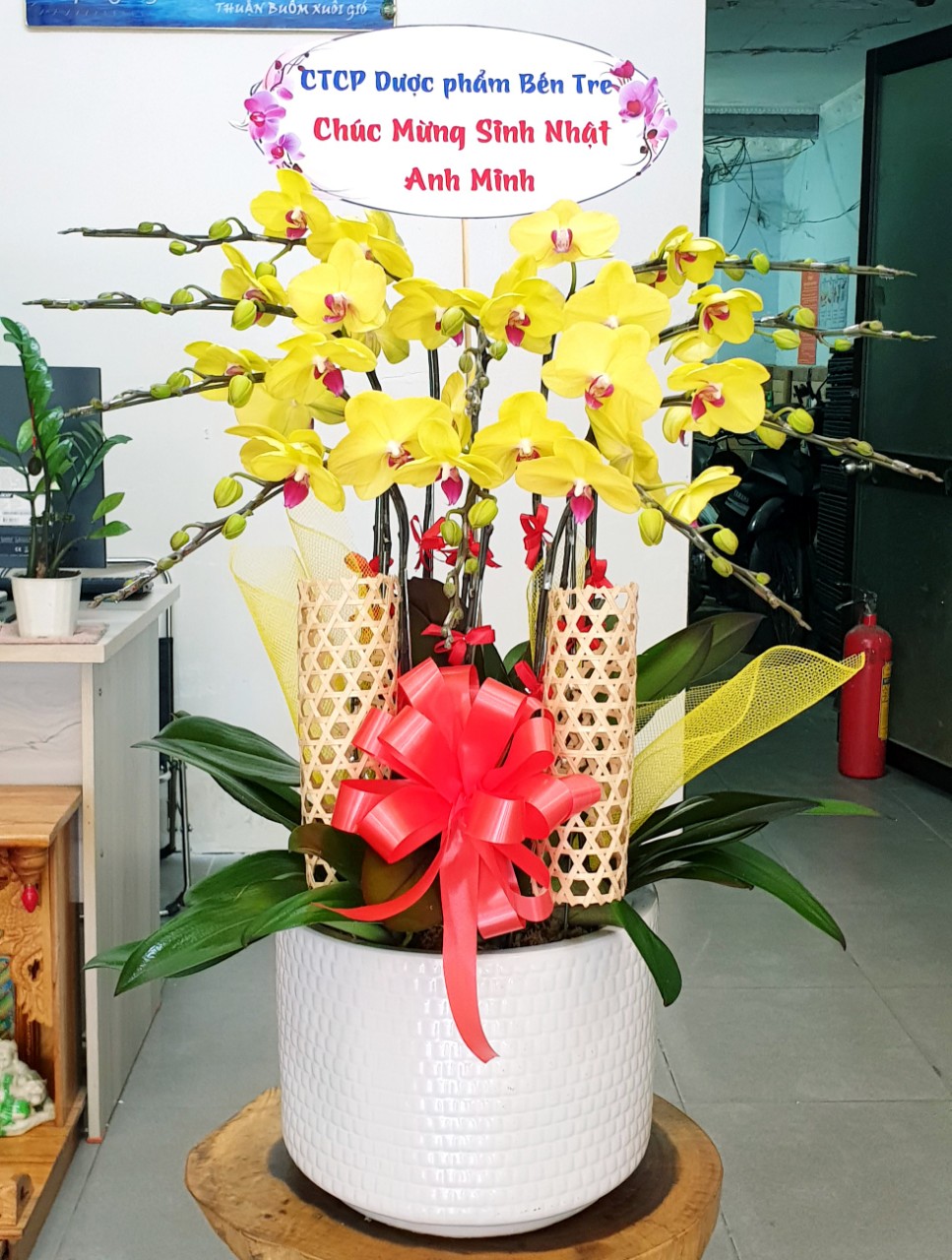 Hoa Lan Hồ Điệp SK014