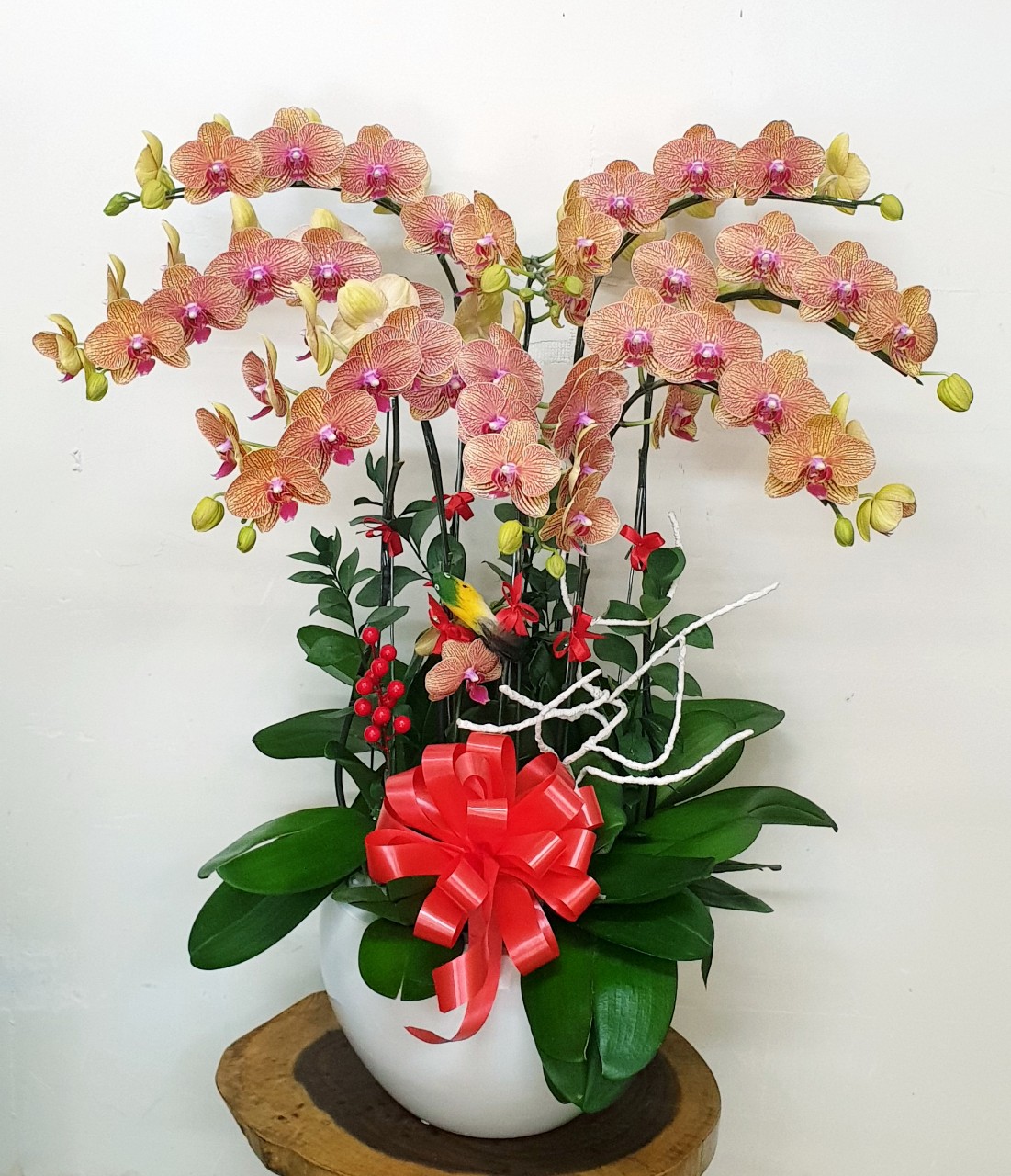 Hoa Lan Hồ Điệp SK017