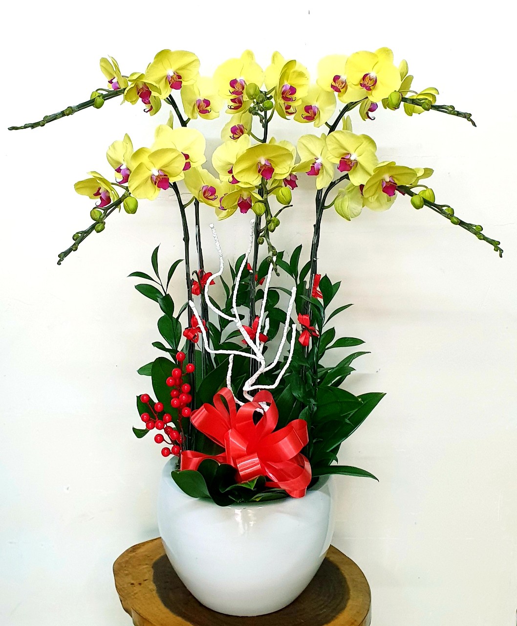 Hoa Lan Hồ Điệp SK024